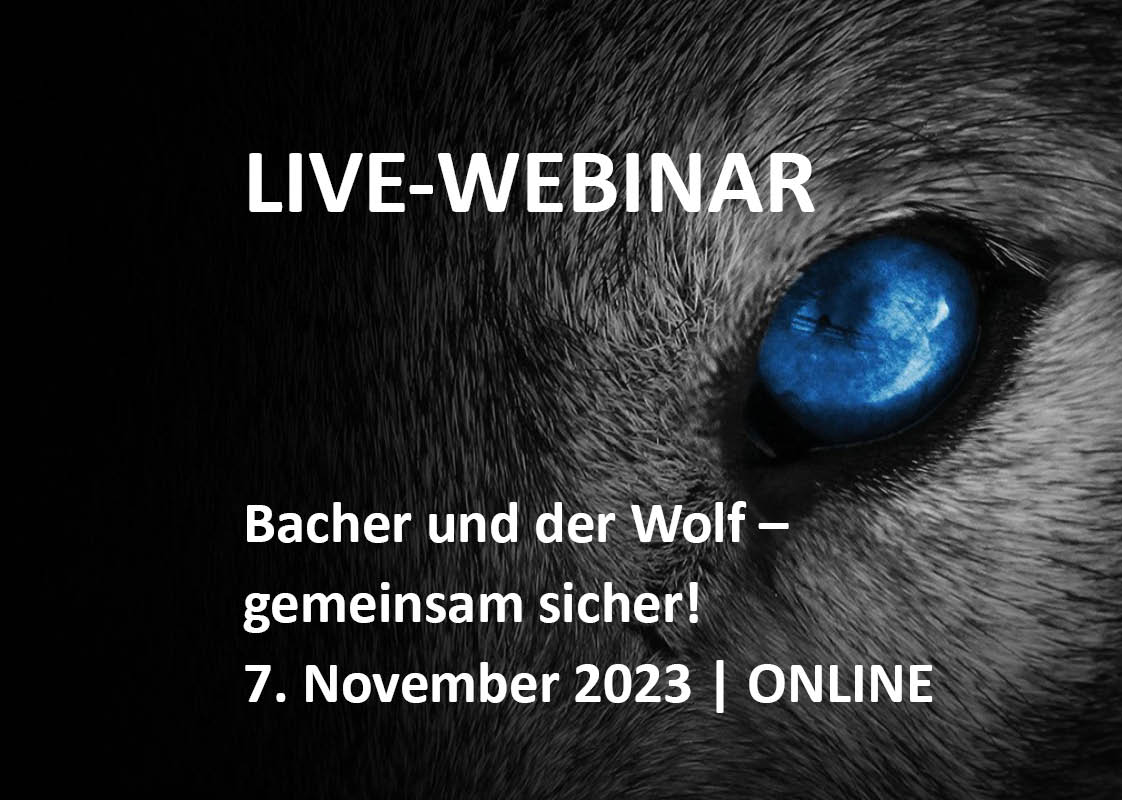 Website Teaser Webinar Arctic Wolf v2