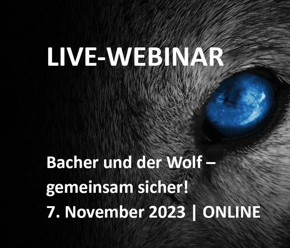Website Teaser Webinar Arctic Wolf v2